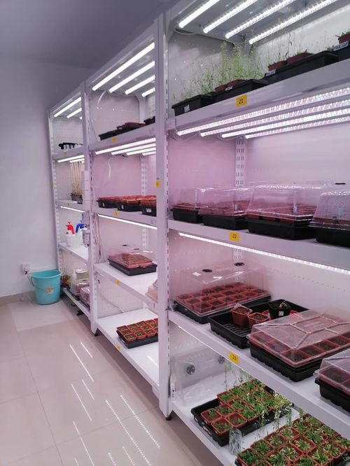 植物工厂技术核心 组培室与消声室的视觉图集